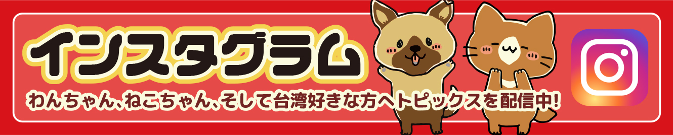 インスタグラム